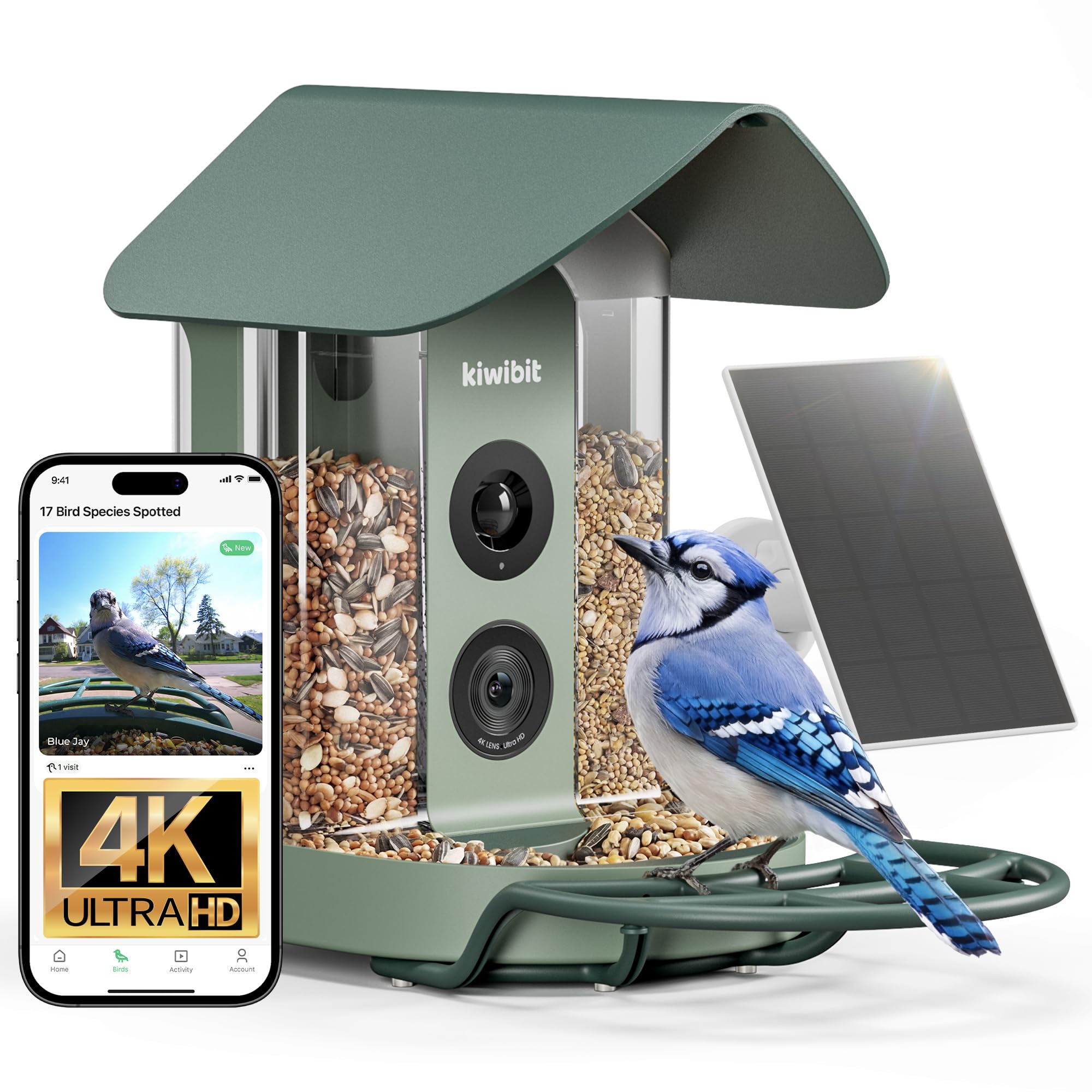 BirdVision AI Smart Feeder - 2K Camera with Species ID